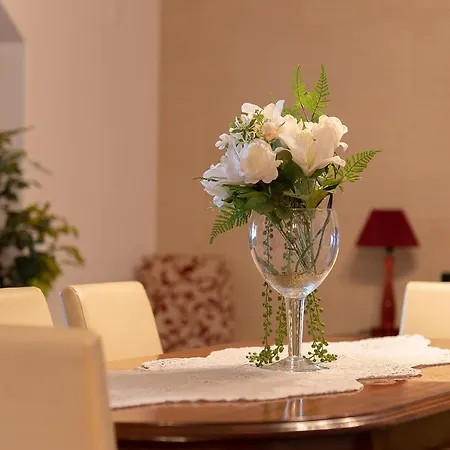 O Meu Sonho Semesterbostad