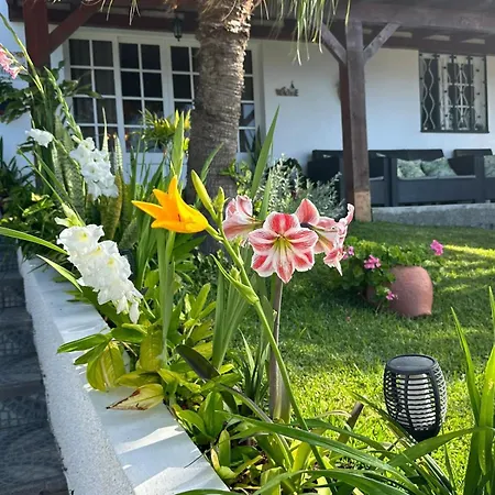 O Meu Sonho Calheta (Madeira)